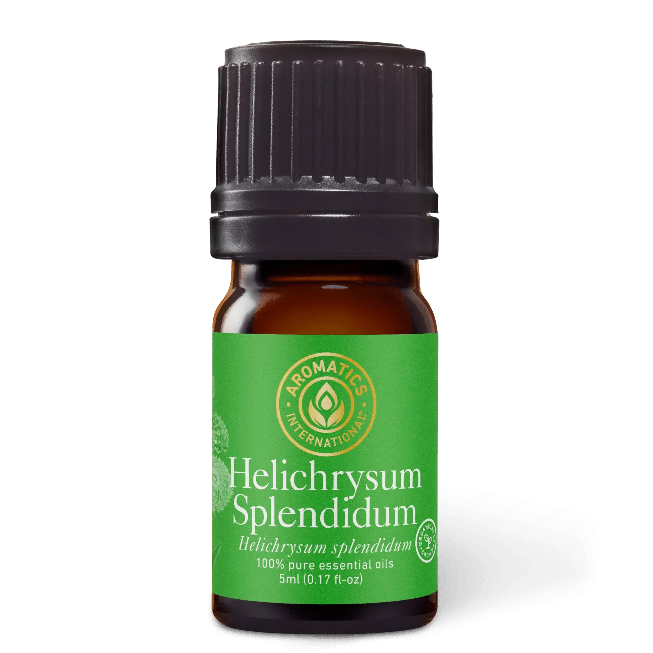 Helichrysum Splendidum Essential Oil